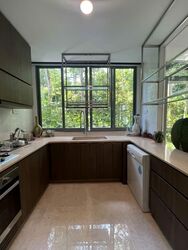 Greenwood Mews (D11), Terrace #559252441